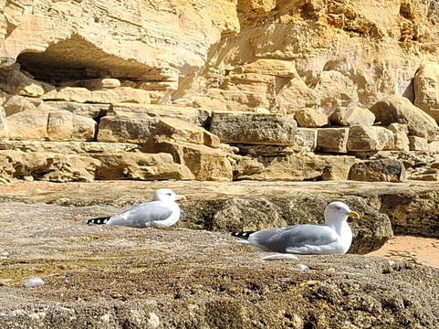 Cliff Boardwalk and Pathway-Olhos de Agua必去景点