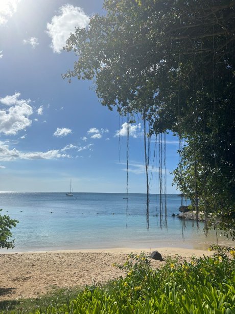 玛丽蒂姆毛里求斯水疗度假酒店-官方