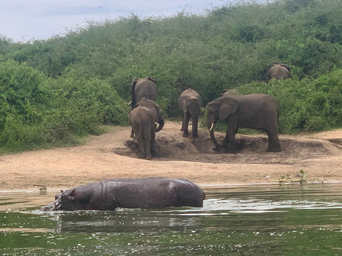 Uganda Family Tours & Travel-Fort Portal必去景点