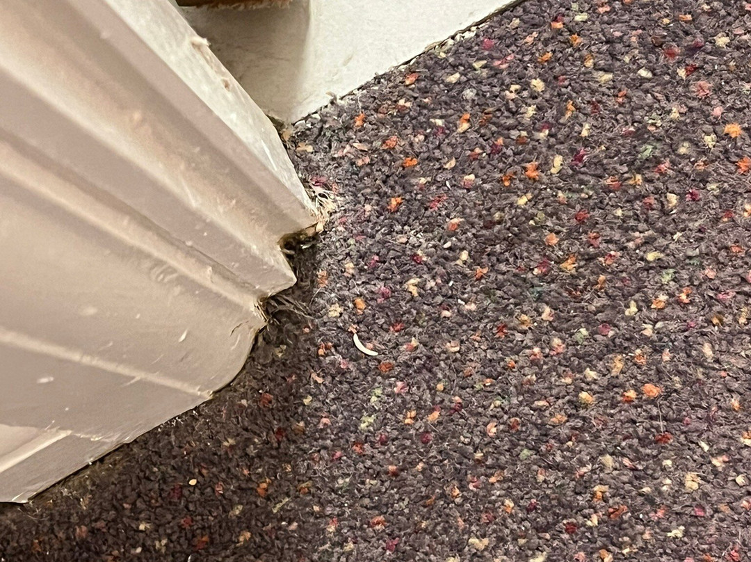 埃普瑟姆Sure Hotel Collection by Best Western兰花主图