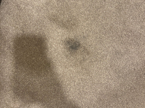 康帕斯集团哈利法克斯白天鹅酒店主图