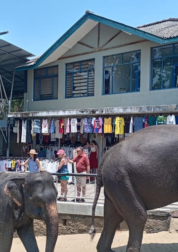 Sri Shannon Tours-尼甘布必去景点