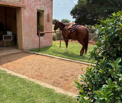 Diamond X Cowboy Ranch-Rayton必去景点