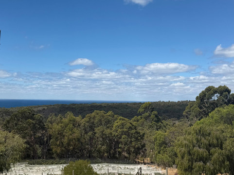 Wine Tours Swan Valley-Swan Valley必去景点