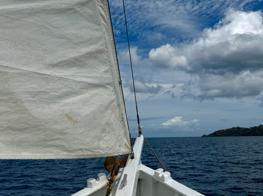 Savvy Sailing Adventure-St. George's必去景点