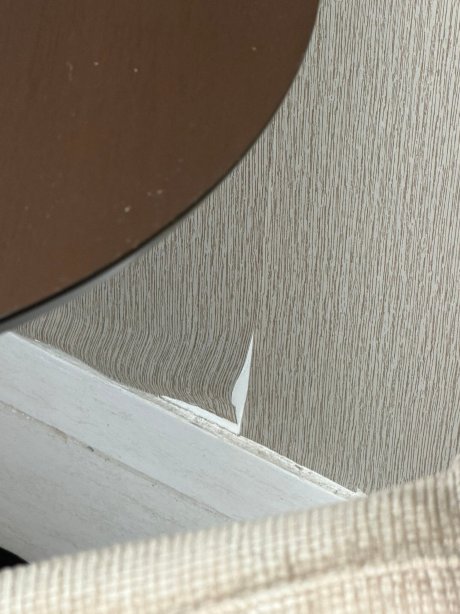 累西腓博阿维亚任泛美尊爵酒店-官方