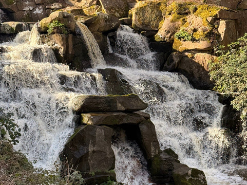 Virginia Water Café-Virginia Water必去景点