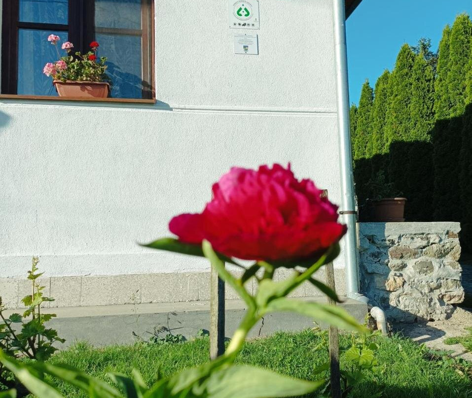 Kemencés Vendégház