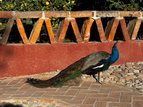 Cabalgatas Las Haciendas Horseback Adventures-Lagos de Moreno必去景点