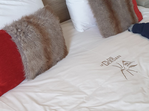 克洛斯塞尔丹酒店主图