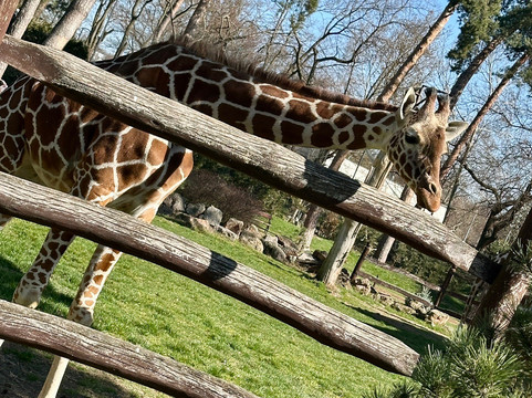 Zoo Debrecen-德布勒森必去景点