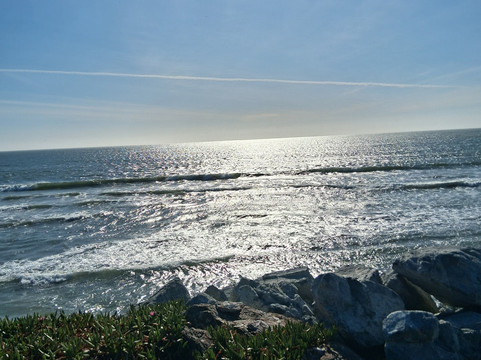 米拉马尔海滩龙柏酒店主图