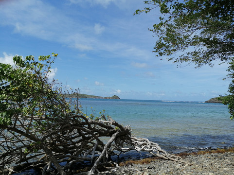 Royal Eagle-Le Robert必去景点