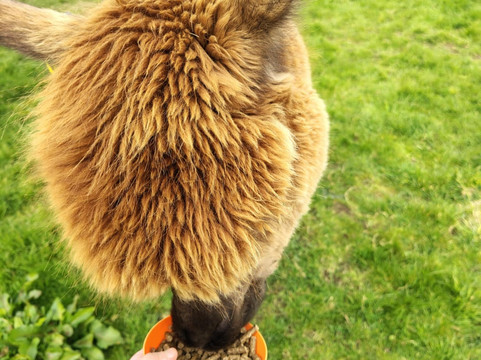 Frankly Farm Tours-Broseley必去景点