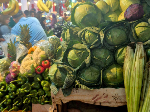 Atlas Experience-瓦尔扎扎特必去景点