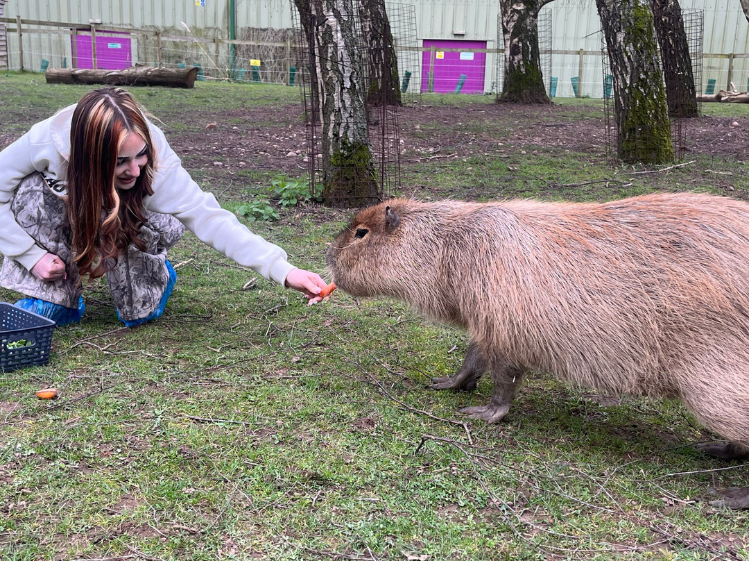 Robin Hoods Wheelgate Park-Farnsfield必去景点