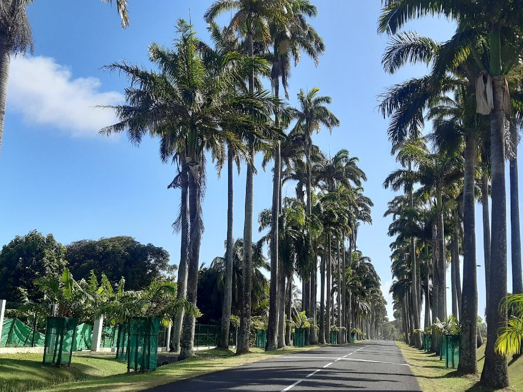 Allée Dumanoir-Capesterre-Belle-Eau必去景点