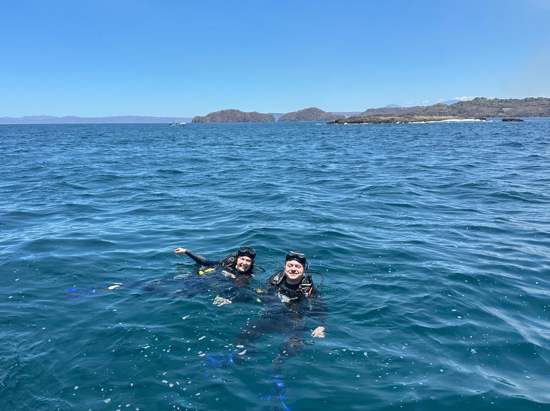 Rocket Frog Divers-Playas del Coco必去景点