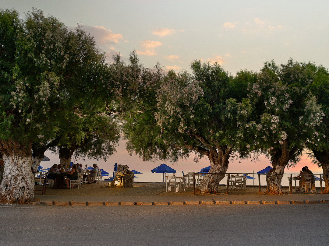 Alianthos Seaside Restaurant