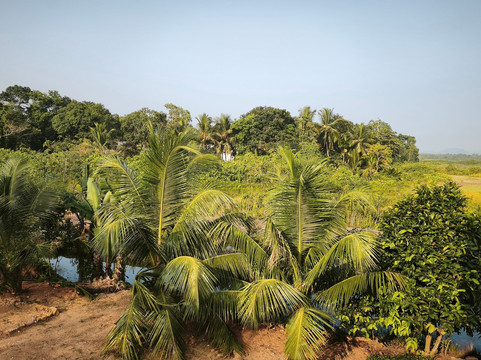 DIDI Explorer Lanka-班托塔必去景点