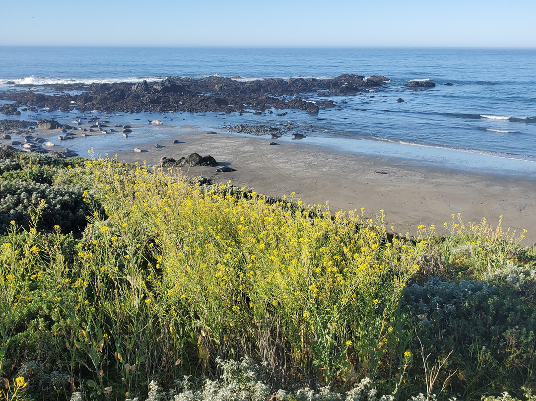 圣西蒙小屋主图