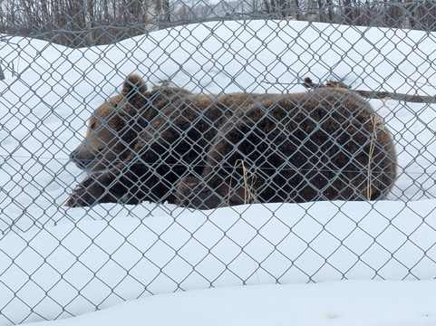 北极公园-Bardu Municipality必去景点