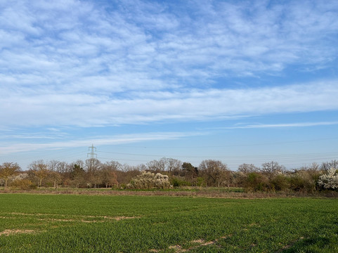 法兰克福机场诺瀚酒店主图