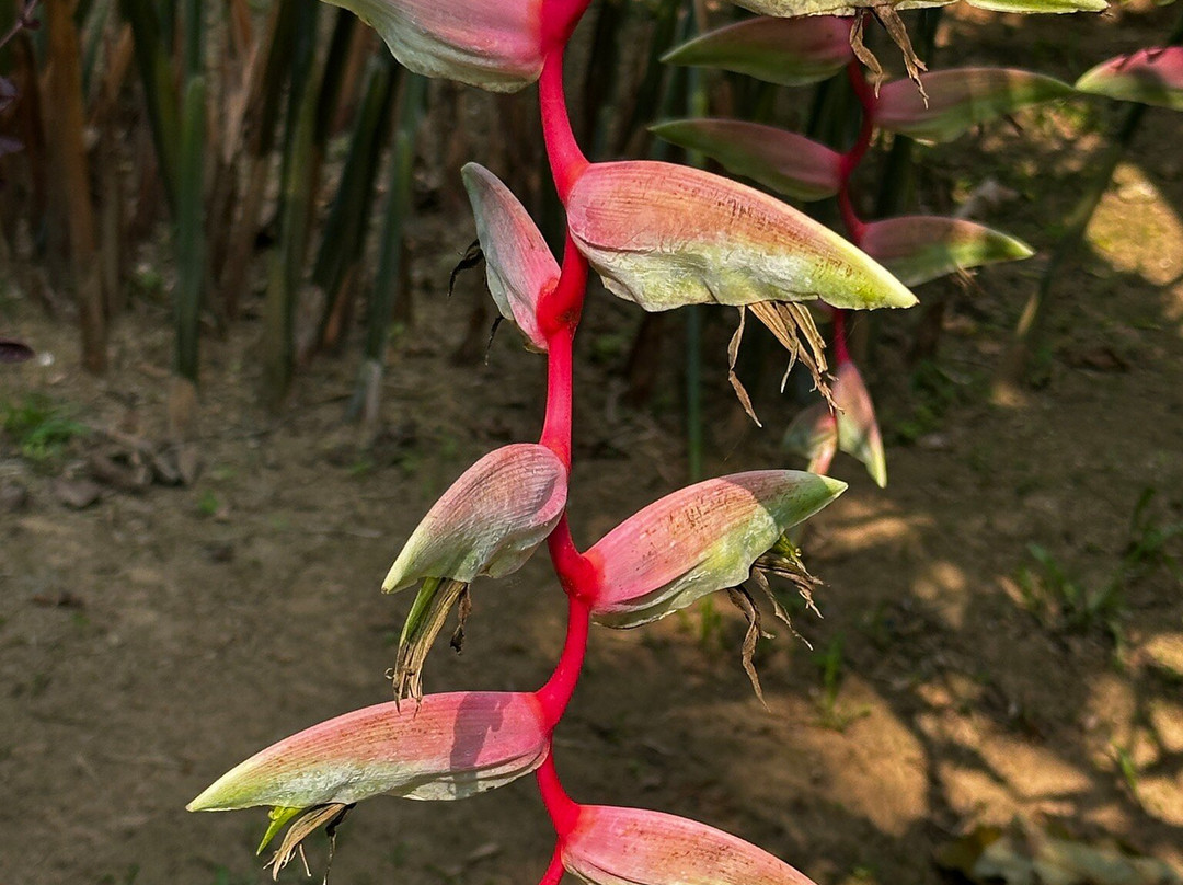 温德米尔河之家旅馆主图