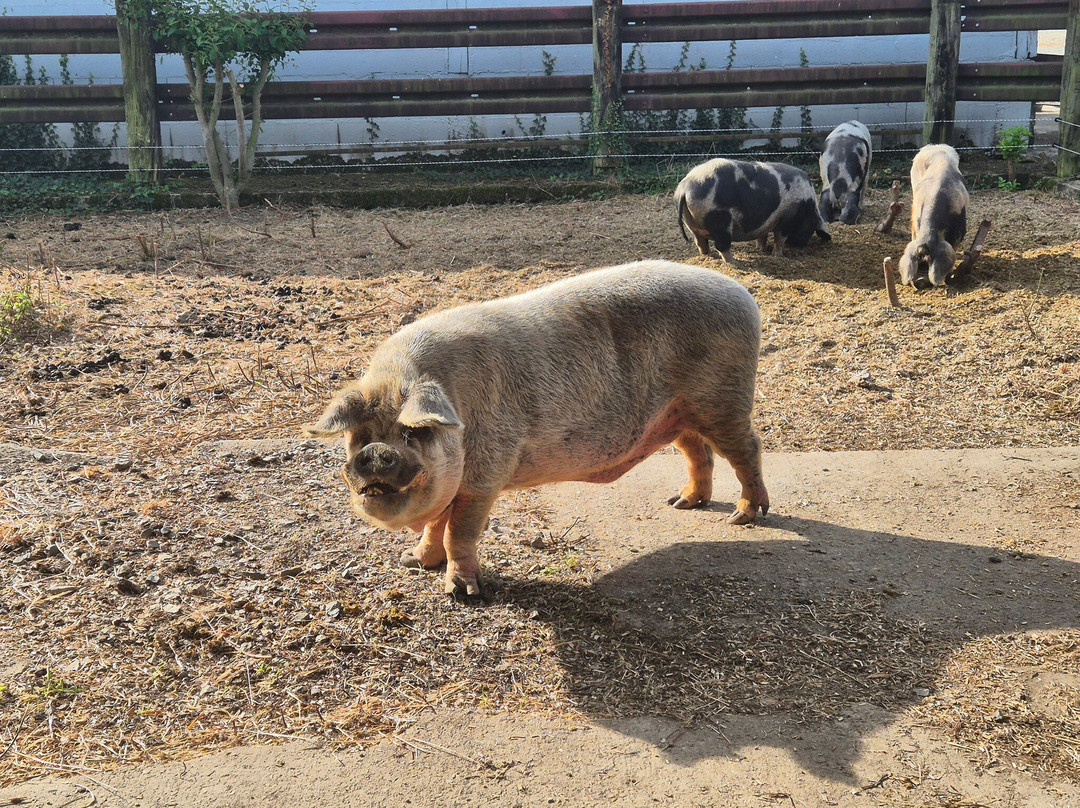 Agri'KIDS-Jarze必去景点