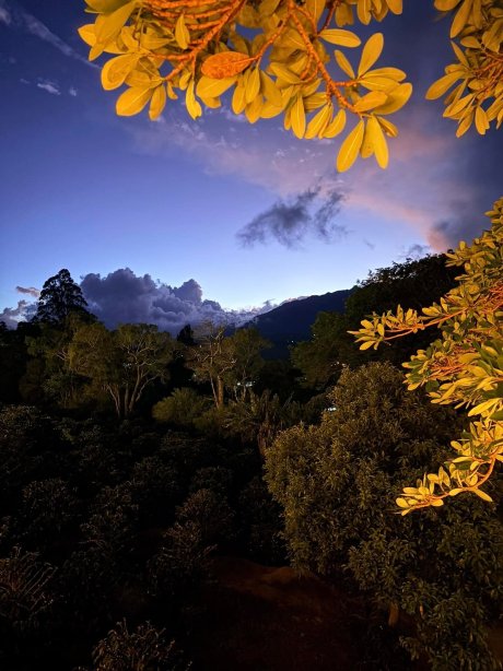 Los Establos精品度假村- 全包-浴室