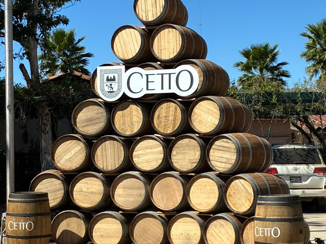 L.A. Cetto Boutique Valle de Guadalupe-Valle de Guadalupe必去景点