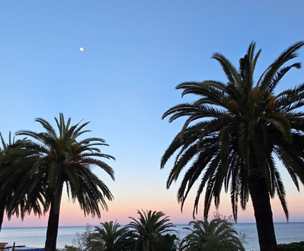 美杜莎酒店主图