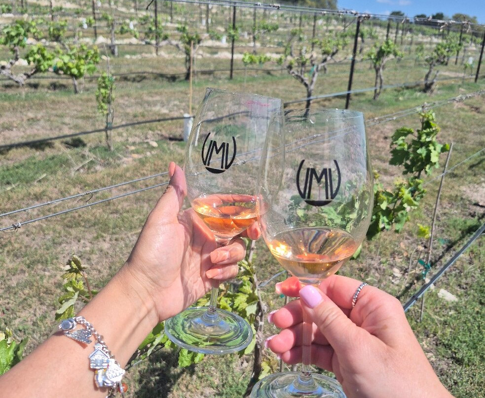 Valley Mills Vineyards-韦科必去景点