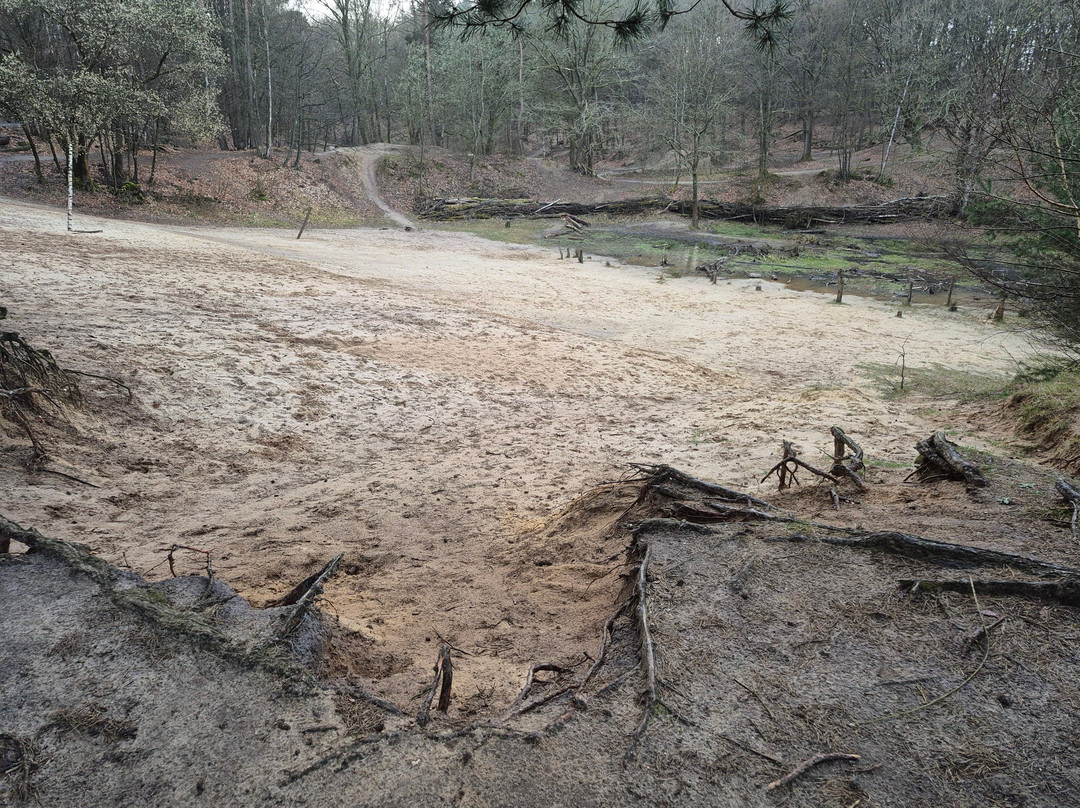 Molecaten Park de Leemkule
