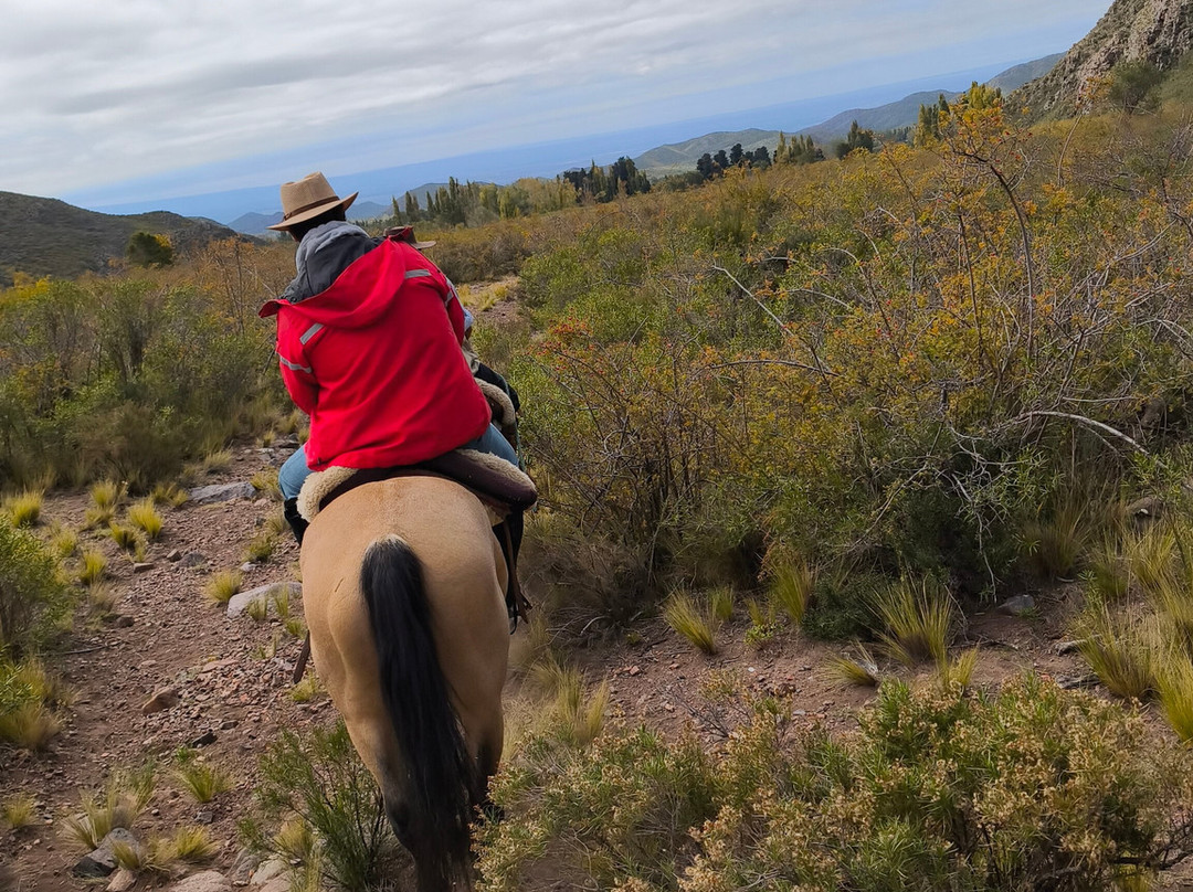 Cabalgatas Mendoza: Los Chacayes-门多萨必去景点