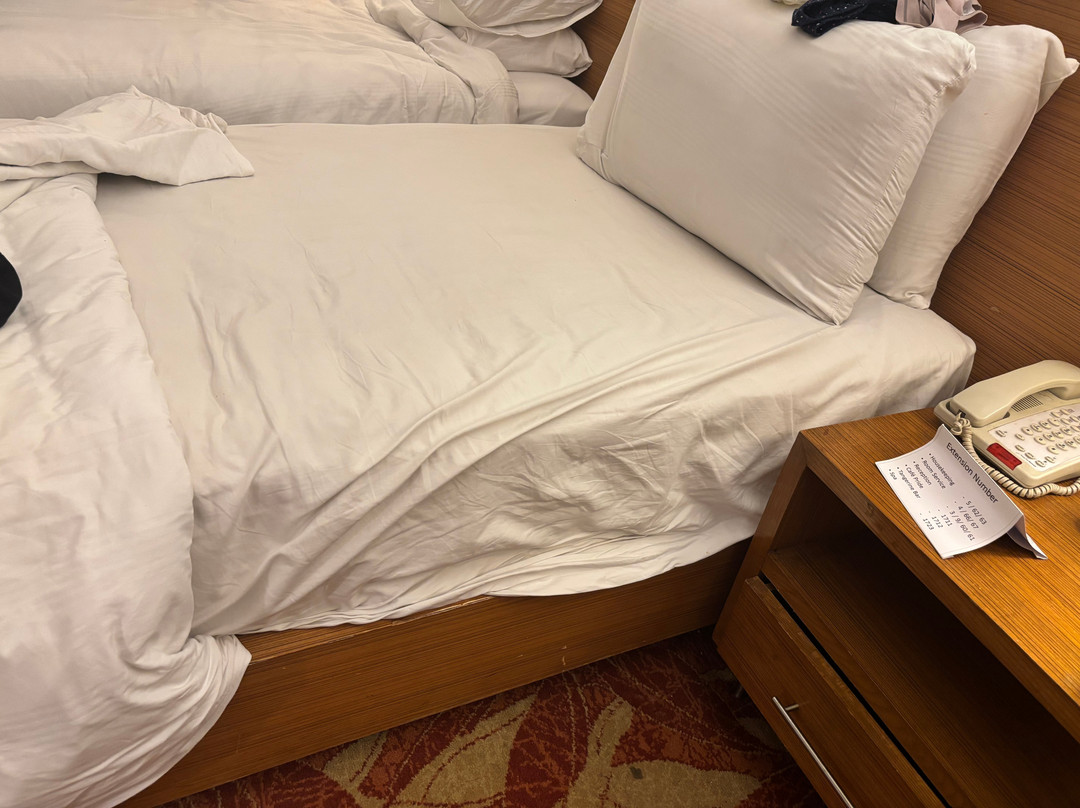 纳格浦尔傲世酒店主图