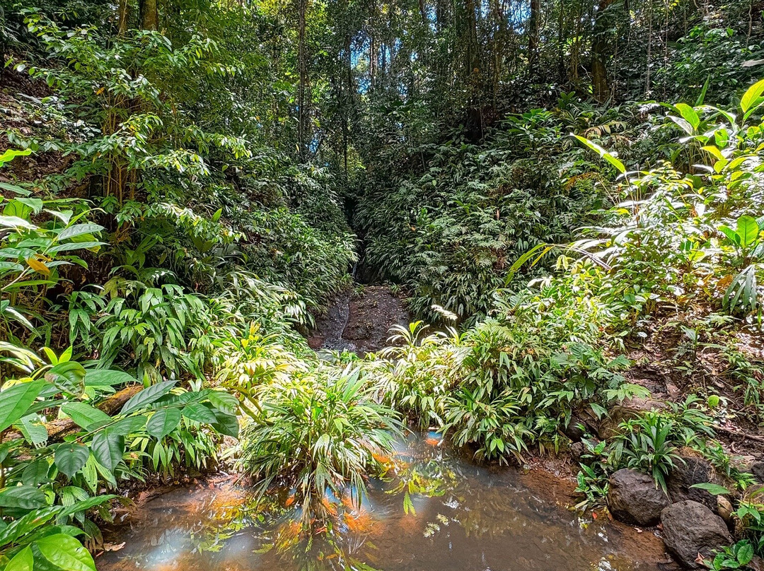 La Tierra Del Encanto-Isla Bastimentos必去景点