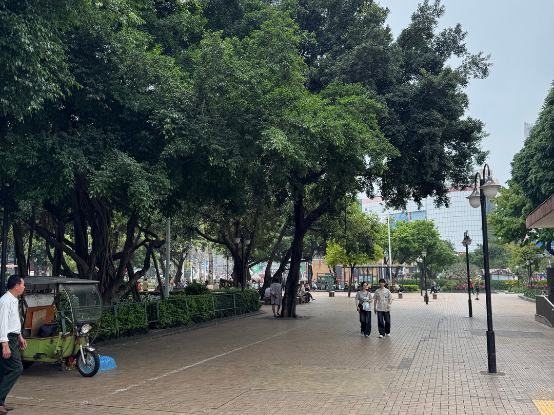 朝阳广场-南宁市必去景点
