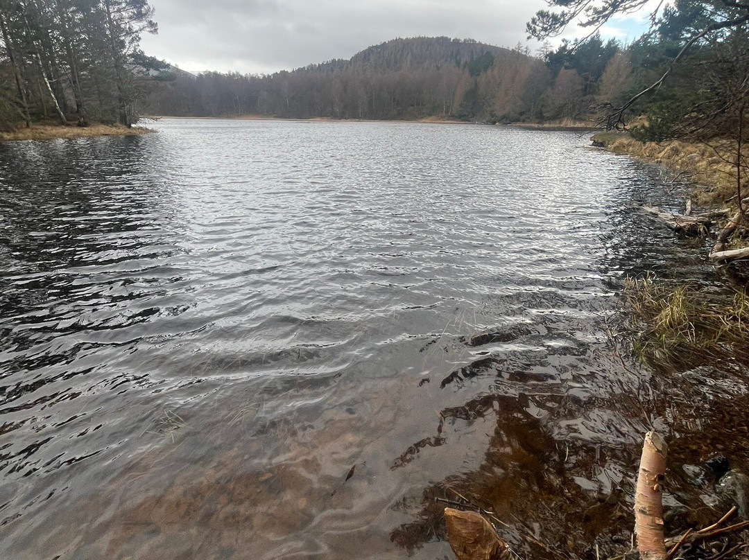 Loch an Eilein-阿维莫尔必去景点