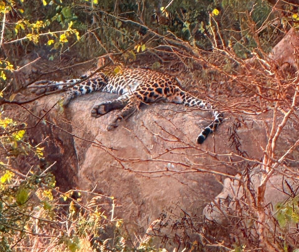 Tour Guide in Sri Lanka-尼甘布必去景点