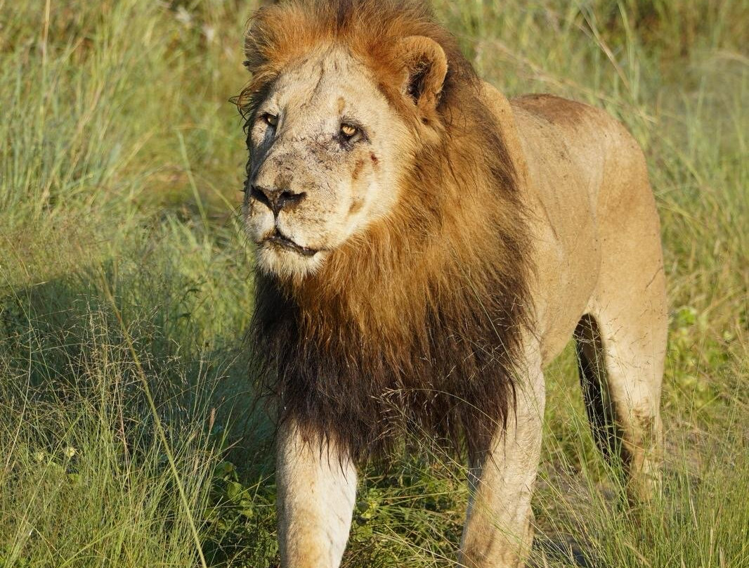 EverseenAfrica-霍德斯普鲁特必去景点