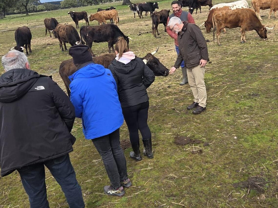 Ganaderia Antonio Palla-Ledesma必去景点