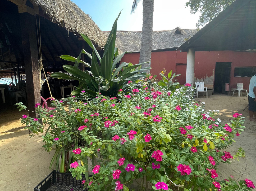 Best Huatulco Tours-瓦图尔科必去景点