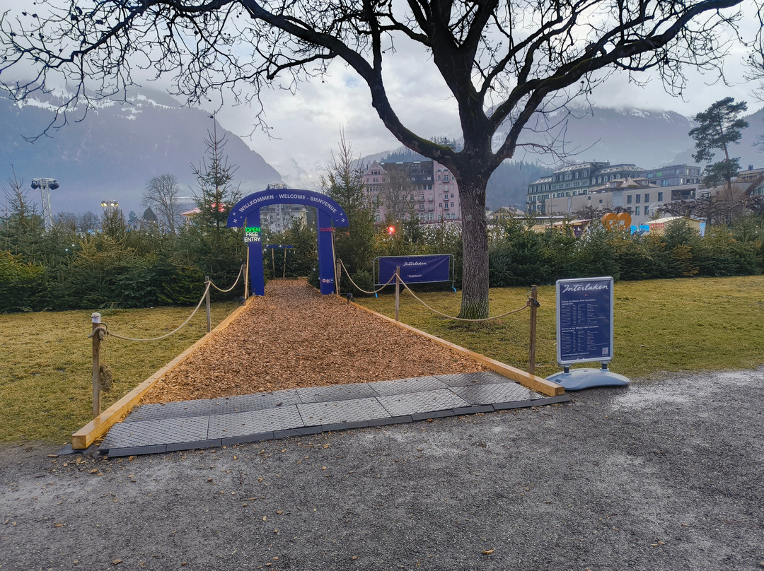 Hohematte Park-因特拉肯必去景点
