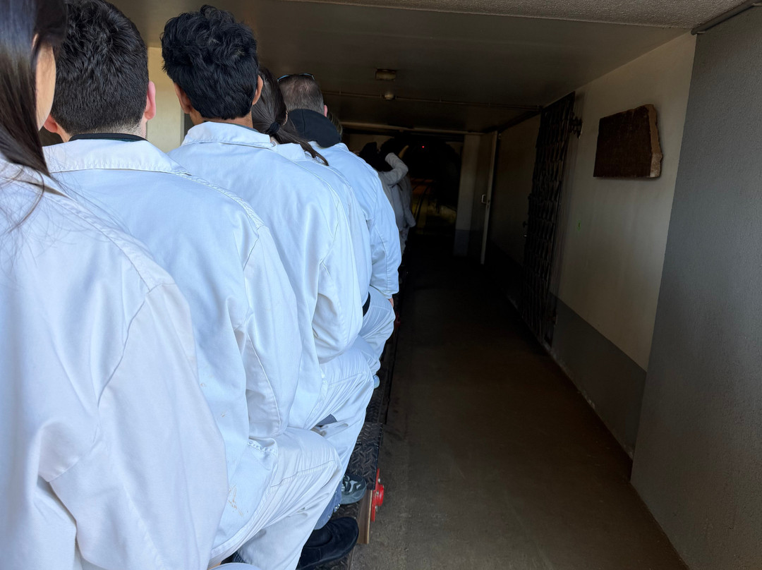 Salzwelten Salzburg-哈连必去景点