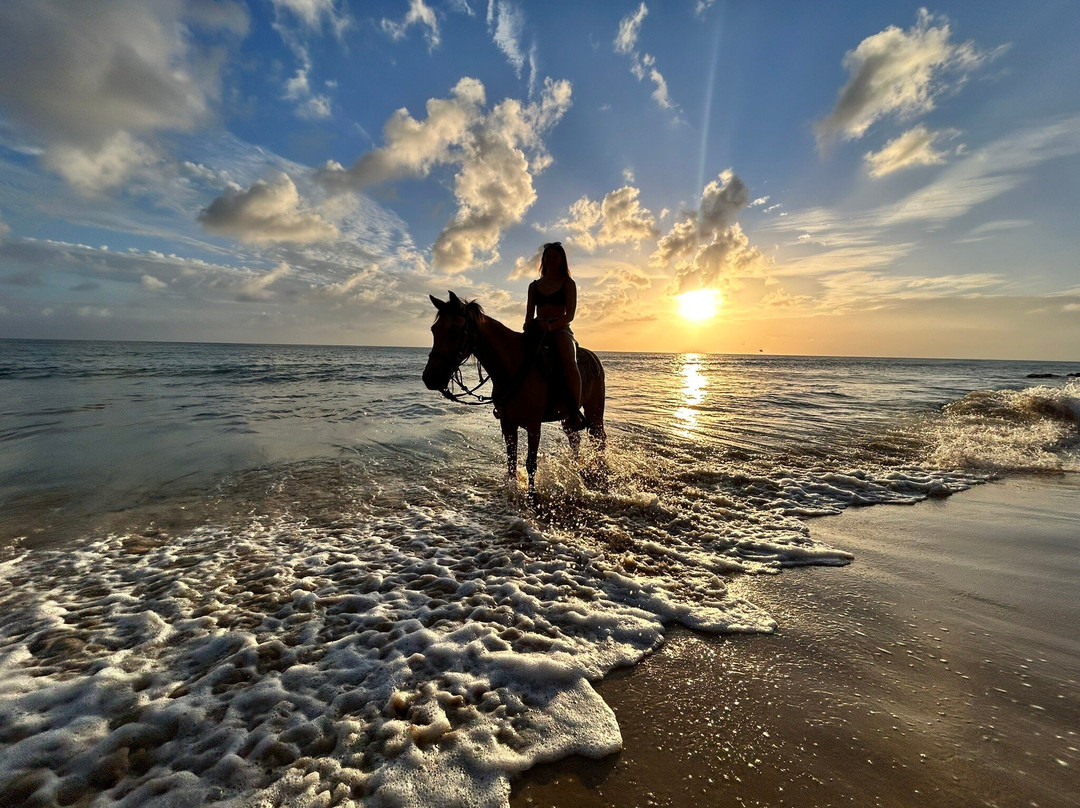 Cruzan Cowgirls-Frederiksted必去景点