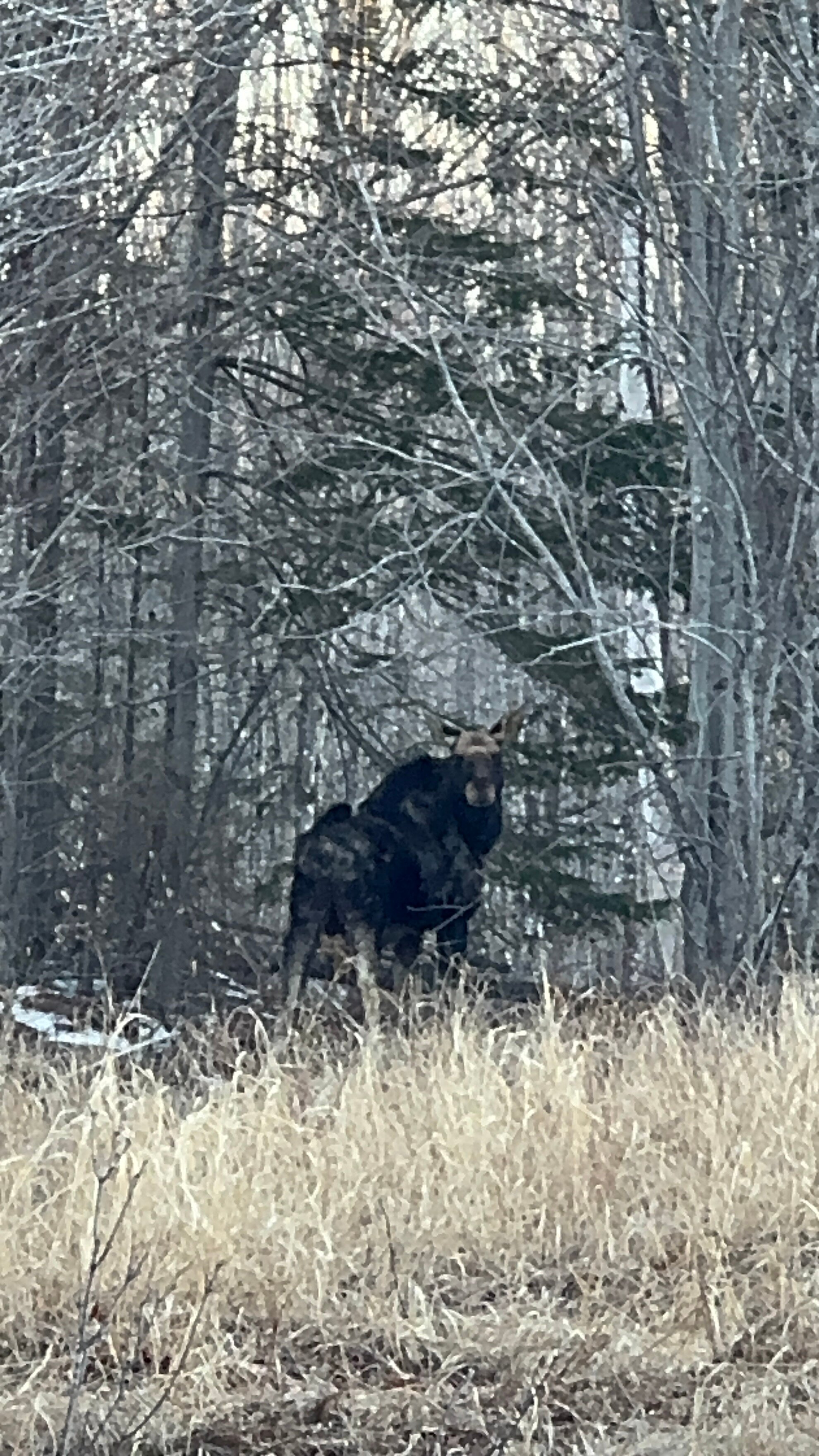 黑莓旅舍-旅行者