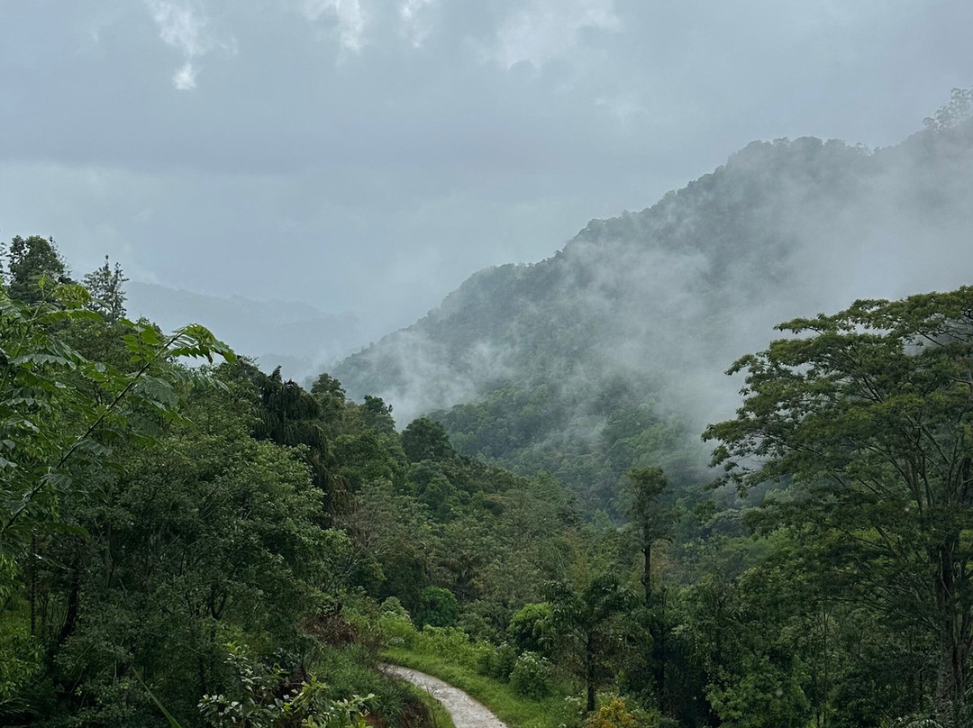Nipuna Knuckles Trekking-康提必去景点