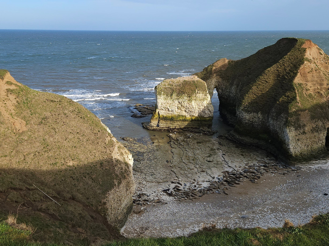 FLamborough Outer Headland-Flamborough必去景点