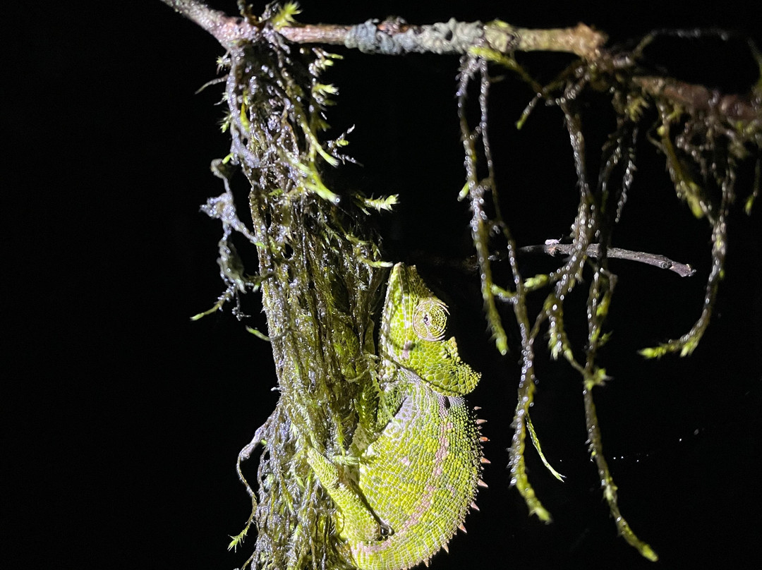 Madagascar Magic Tours-安齐拉贝必去景点
